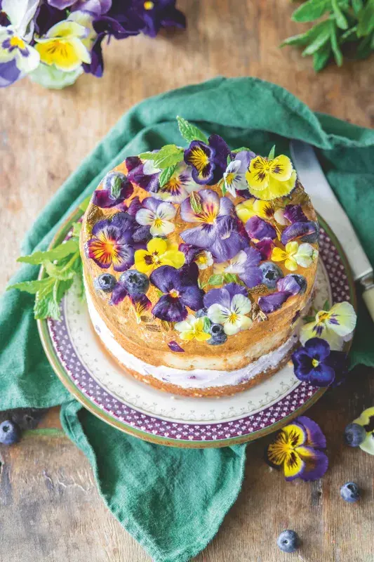 Piškotový dort s borůvkovým krémem a šampaňským želé