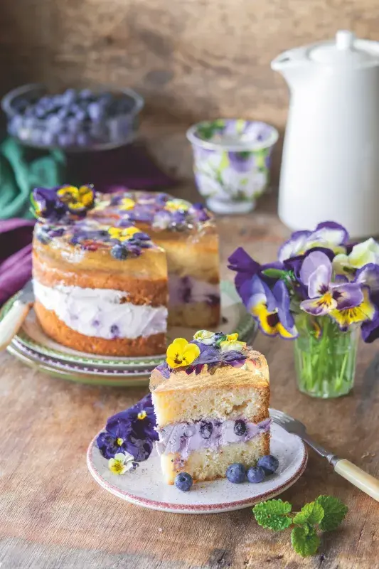 Piškotový dort s borůvkovým krémem a šampaňským želé