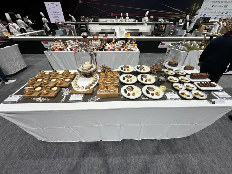 Prezentace českého týmu