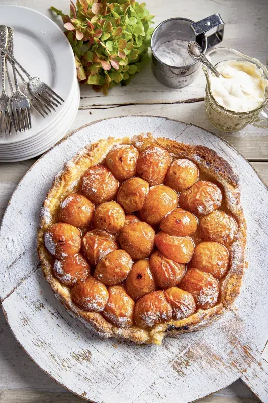 Rustikální koláč s meruňkami