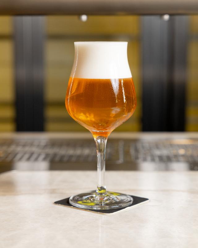 Session IPA