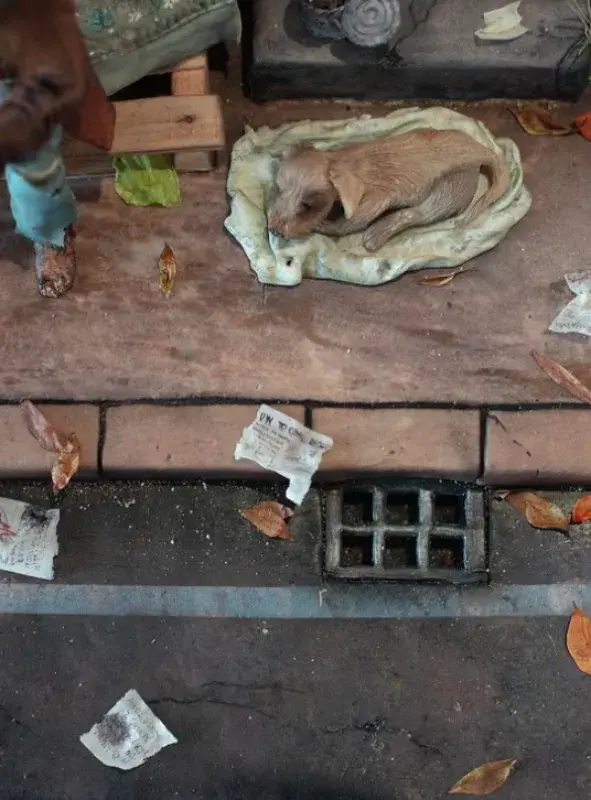 Výherní dort Ivy Roháčové