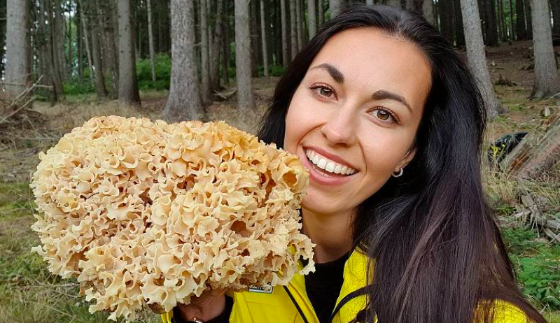 Šumavská houbička alias Lucie Drozdová