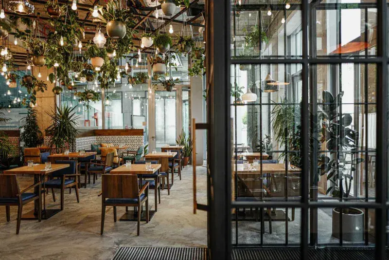 V restauraci Spojka Karlín na vás čeká interiér plný zeleně