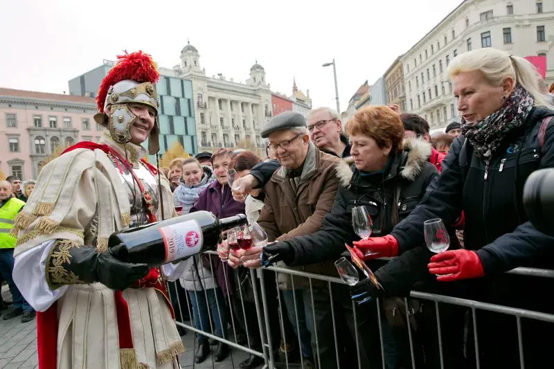 Svatomartinské víno