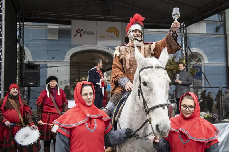 Svatomartinské víno