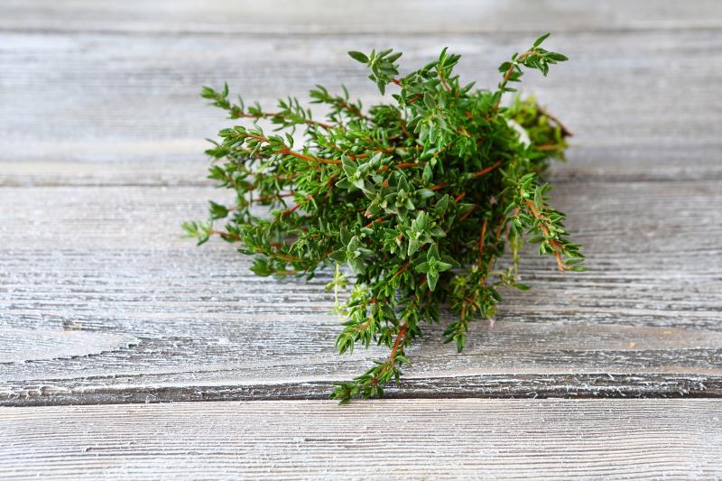 Tymian_svazek_shutterstock_242499490.jpg