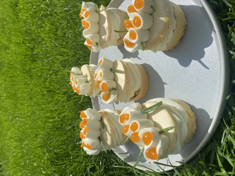 Vítězné rakvičky podle Františka Stejskala