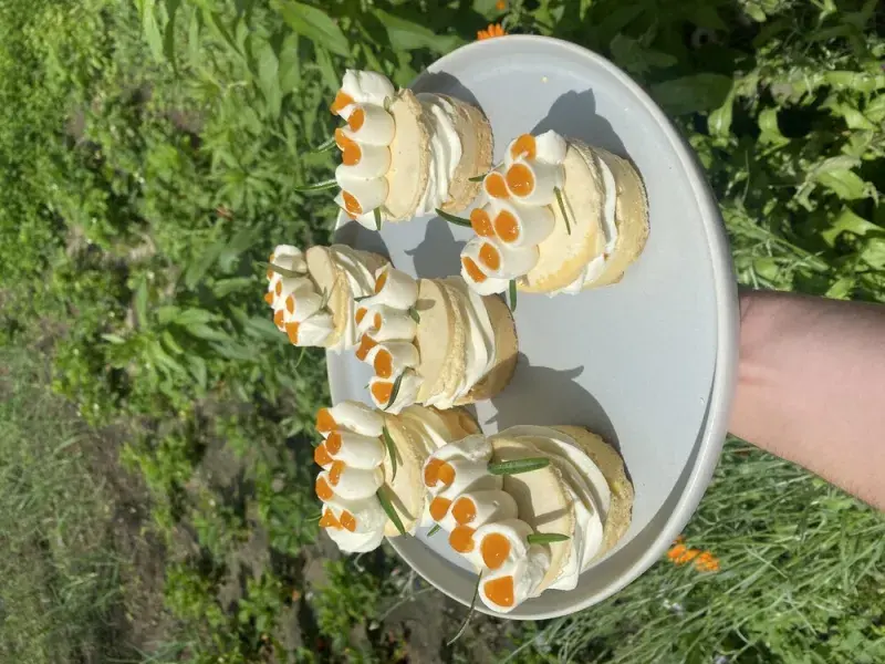 Vítězné rakvičky podle Františka Stejskala