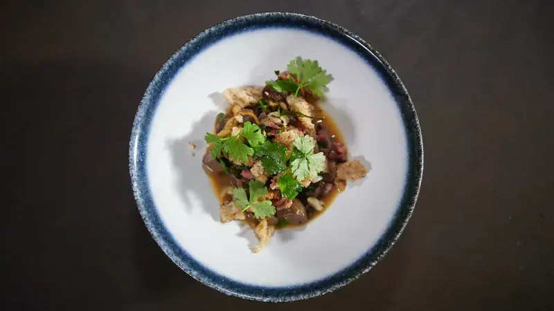 Jan Punčochář kachní žaludky