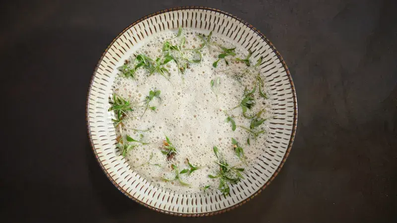 Jan Punčochář Topinamburový krém