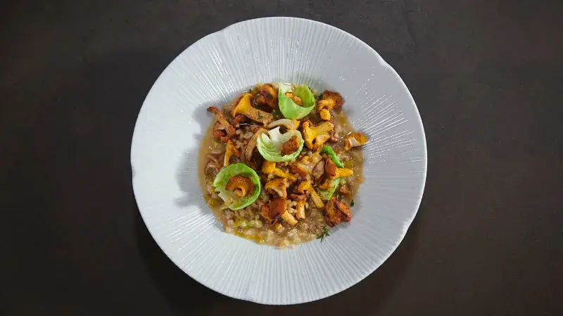 Jan Punčochář Krupoto s liškami