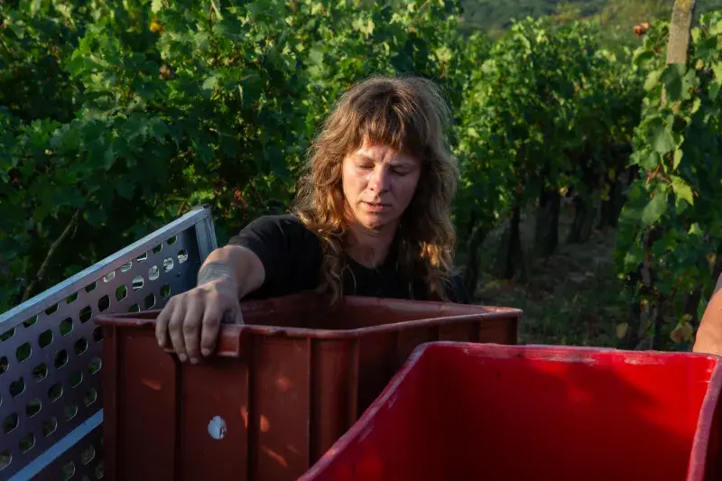 Karla Olivy a její vinařský projekt Monology