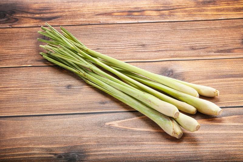 Citronová tráva (lemongrass)