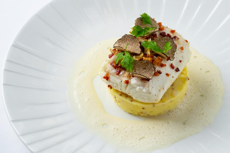 Halibut