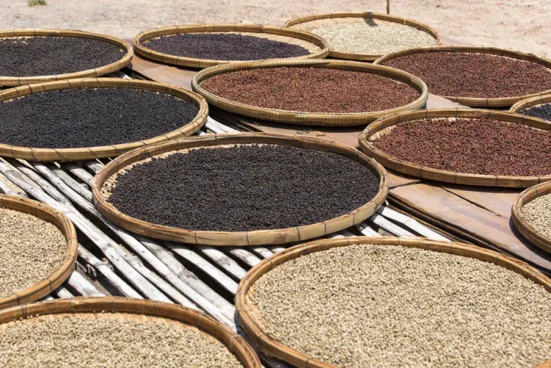 Různé druhy Kampotského pepře