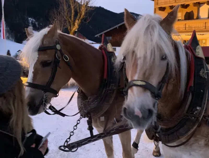 Koňské spřežení Filzmoos