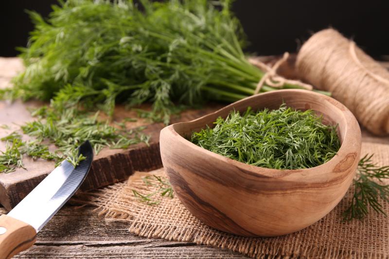 kopr_shutterstock_2465203265.jpg