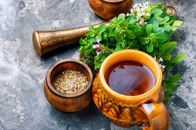 Čaj z majoránky je tradiční součástí lidového léčitelství