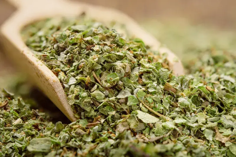 Sušená majoránka vydrží asi rok, pak se její aroma začne vytrácet