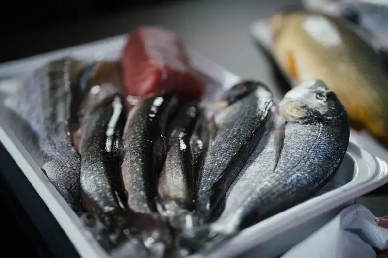 Ryby podle Marka Raditsche