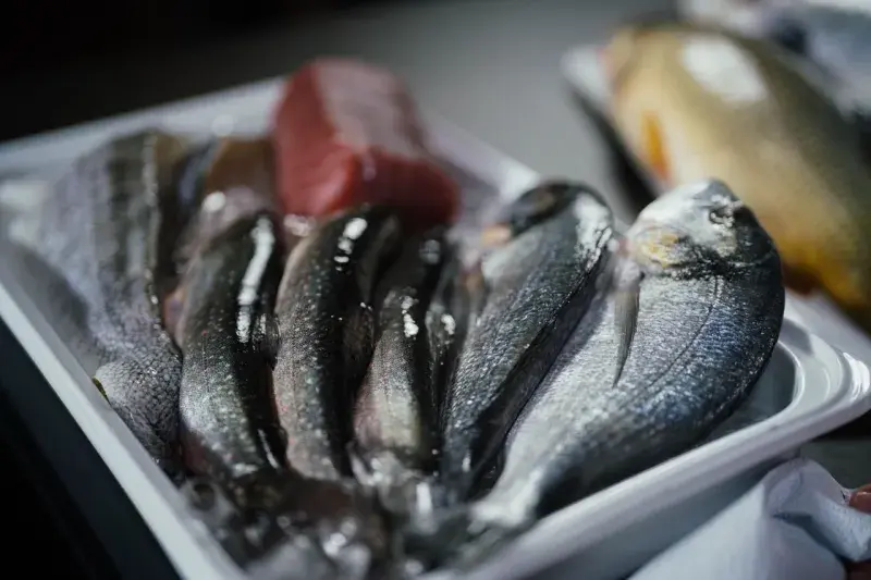 Marek Radistch a rybí kurz