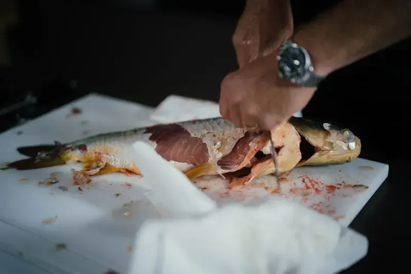 Marek Radistch a rybí kurz