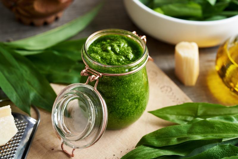 Pesto z medvědího česneku