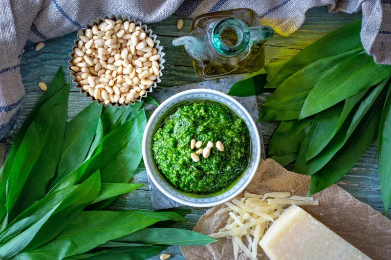 Pesto z medvědího česneku