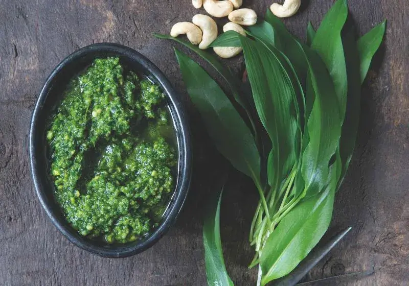 Pesto z medvědího česneku