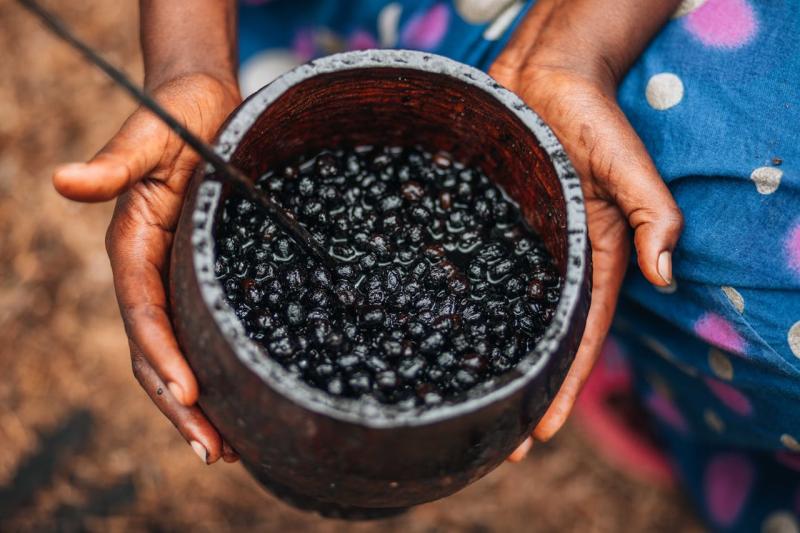 Sklizené a kvašené acai