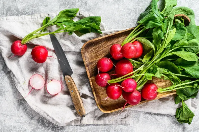 Ředkvičky udělají z obyčejného sendviče křupavý zážitek
