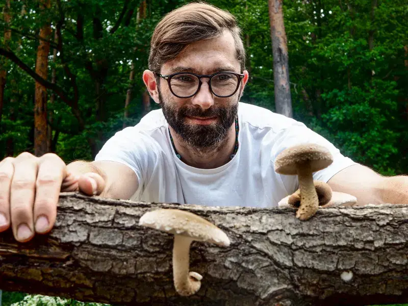 Dalibor Sýkorovský