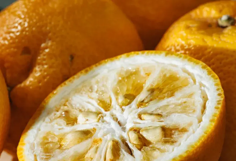 Dužina yuzu je spíš sušší