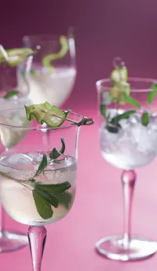 Bezová sangria se šalvějí