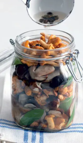 Houby s octem podle Viléma V.