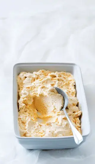 Základní vanilková zmrzlina