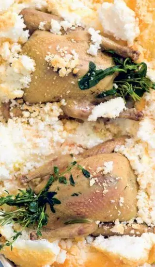 Holoubata v solné krustě