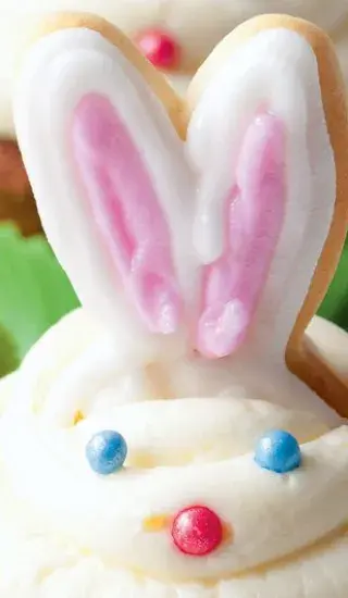 Uši pro zaječí armádu