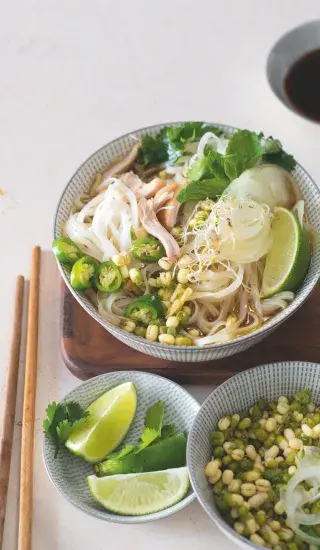 Bleskové kuřecí pho