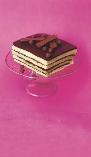 Čokoládový dort s kočičími jazýčky