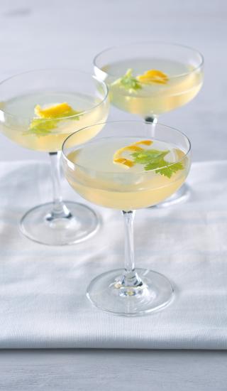 Drink gin & celer