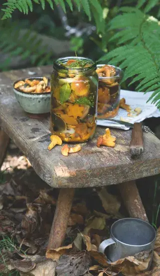 Houby ve sladkokyselém nálevu