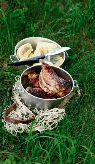 Kachna s kaštanovými knedlíky