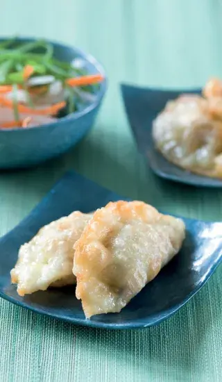 Knedlíčky gyoza (bezmasé)