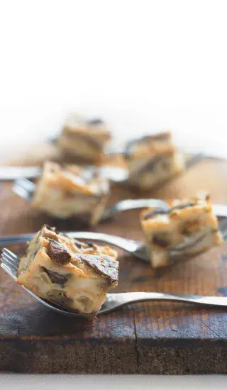 Krkonošský houbovec