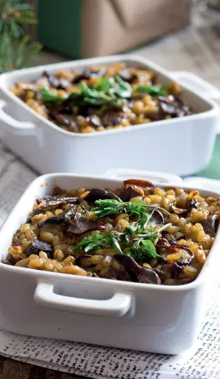 Kuba s dvojími houbami