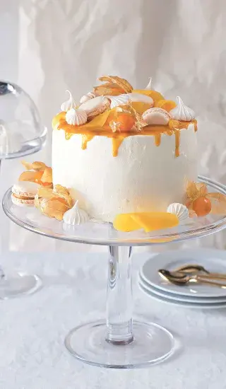 Dort „Mangový sen“