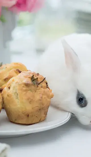 Muffiny s kozím sýrem a rozmarýnem