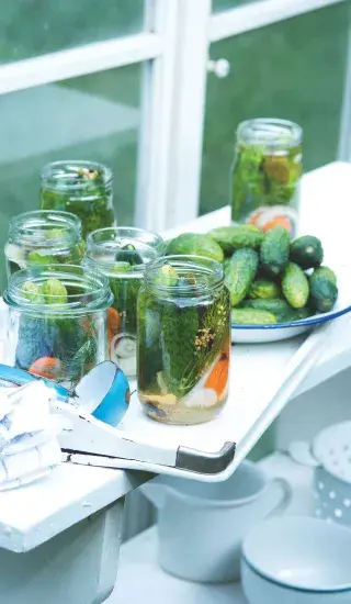 Nakládané okurky babičky Jiřinky